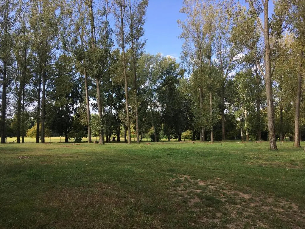 Tóparti Camping