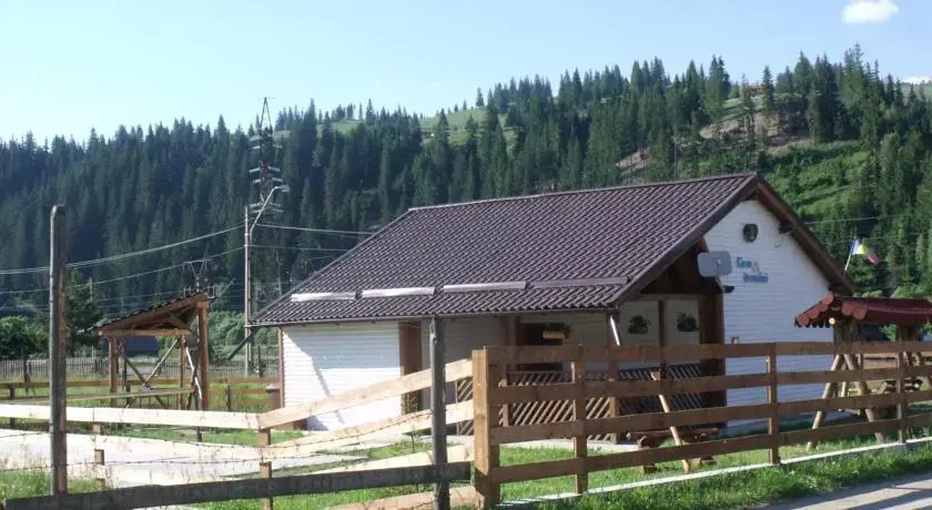 Casa Ursului