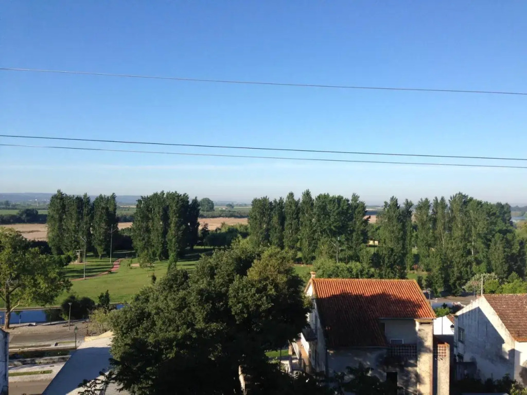 Soltejo