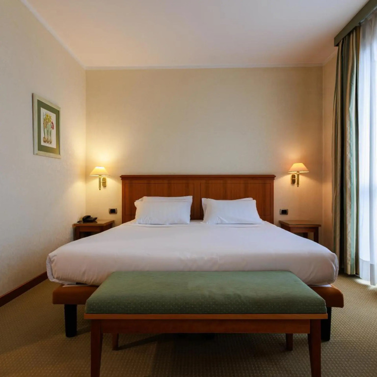 Hotel Excelsior Magenta
