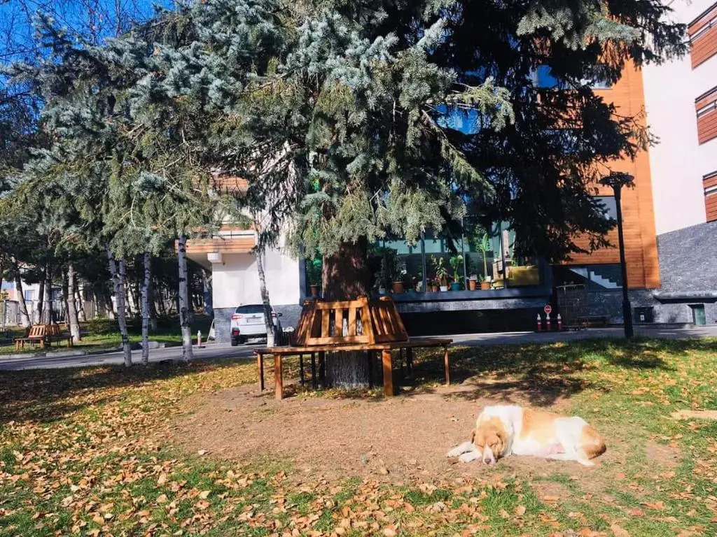 Apartamenti Bakuriani INN