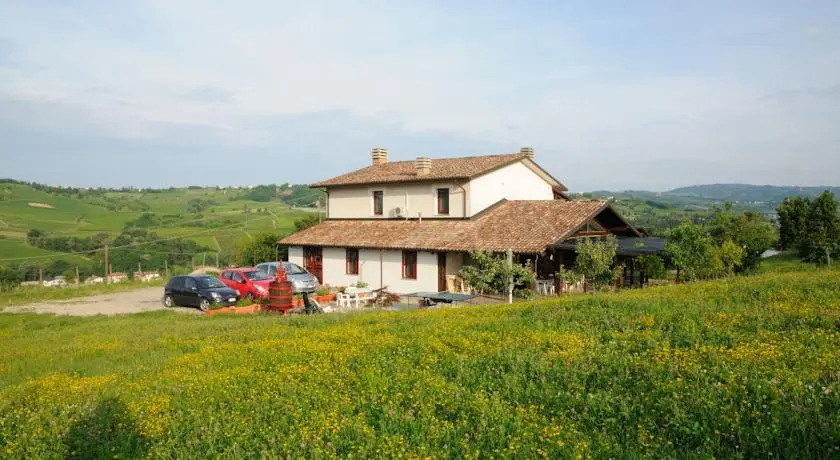 Melocotogno