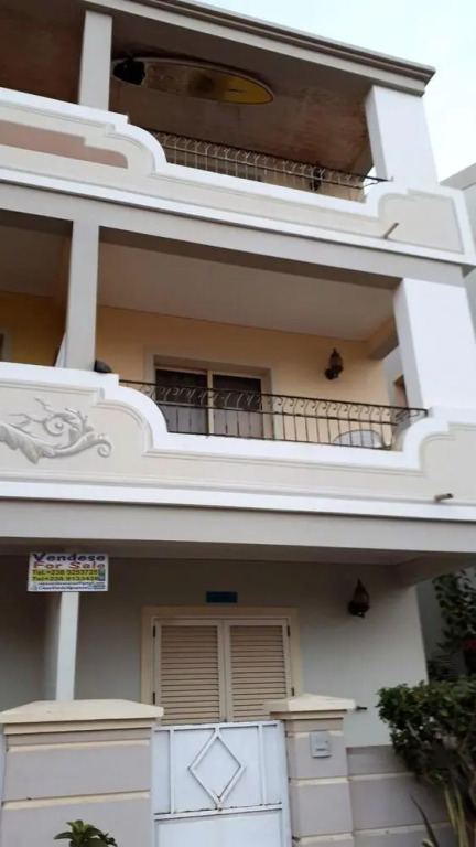 Oasis Palmeira