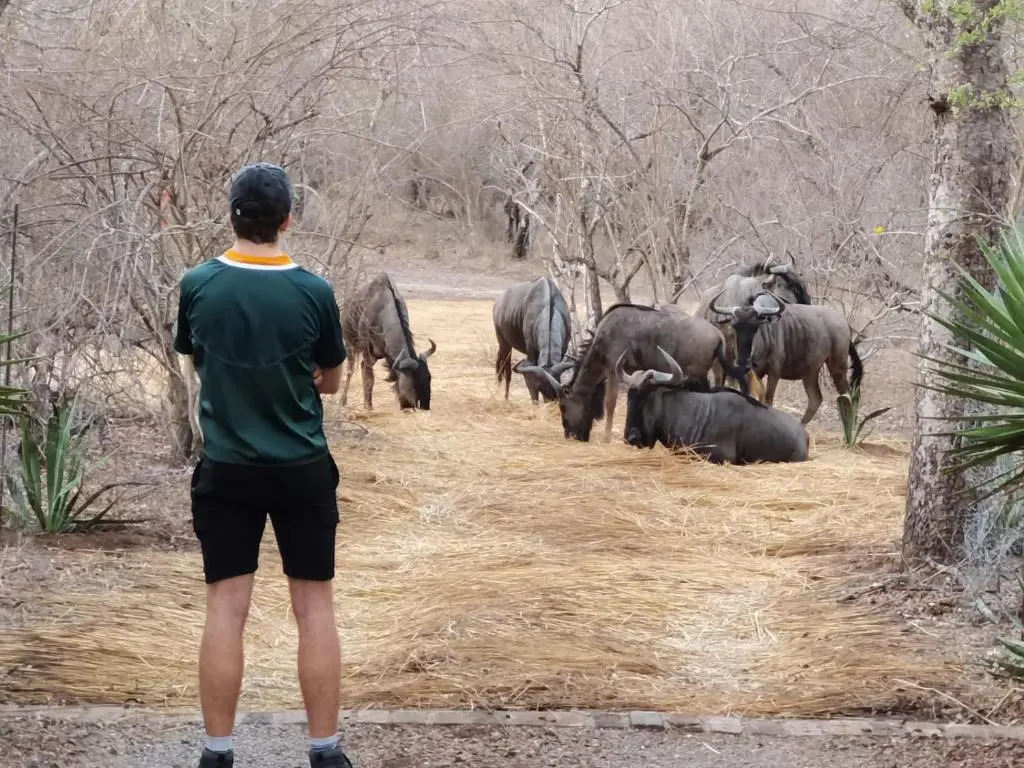Wielewaal Bush Lodge