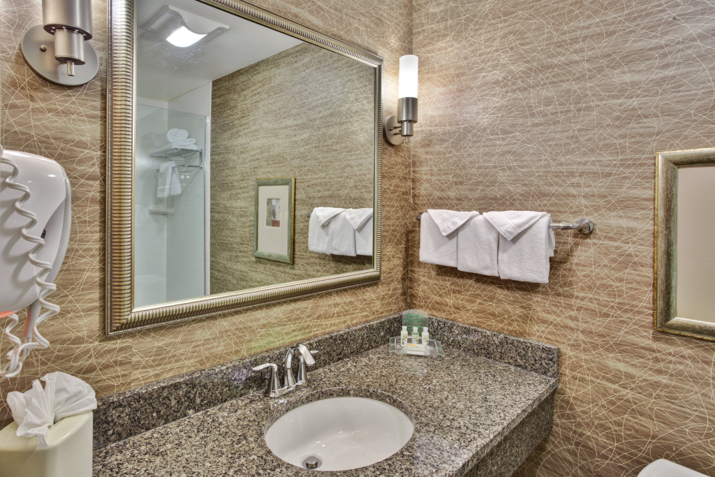 Holiday Inn Detroit Metro Airport by IHG
