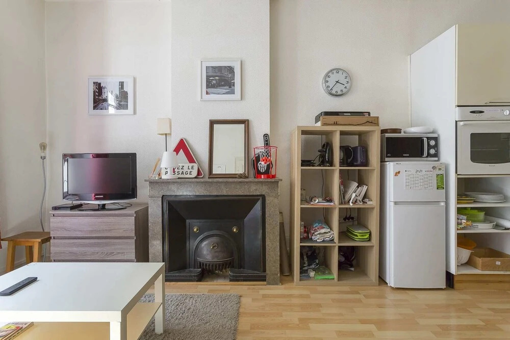 Charming 3 Room Apartment - Lyon