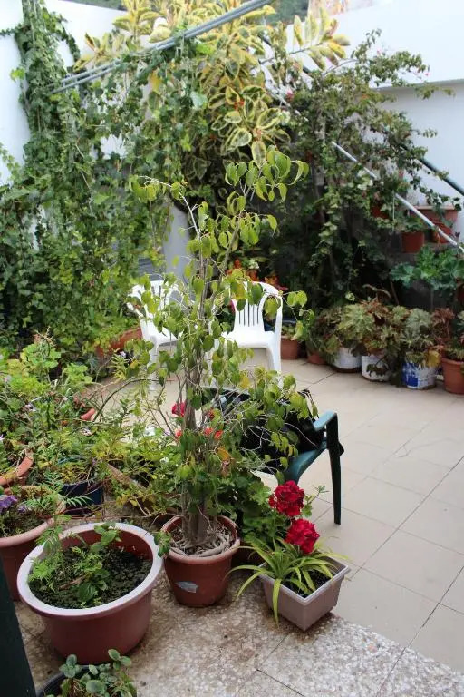 Pension El Guanche