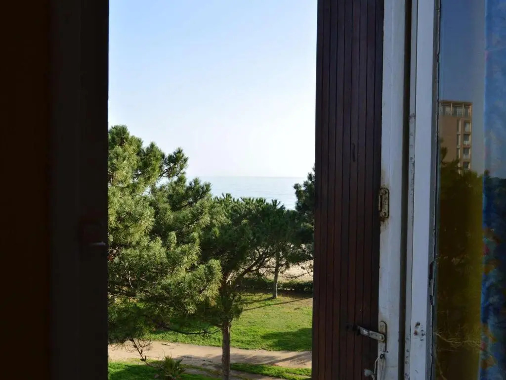 Appartement Argelès-sur-Mer, 2 pièces, 3 personnes - FR-1-225-26