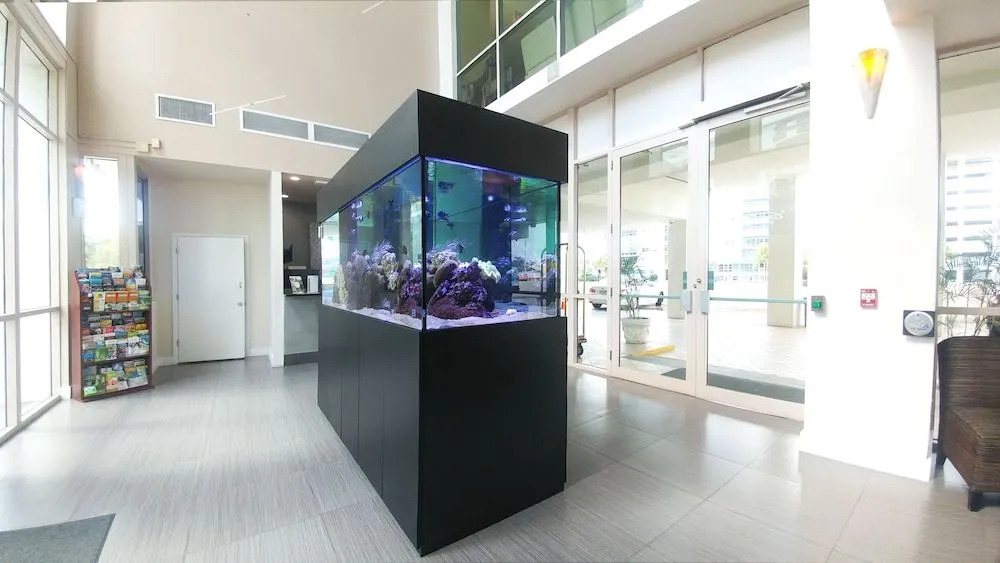 The Sixty Sixty Luxury High Rise Condo