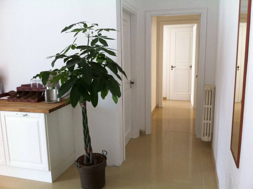 Artemide Bed & Breakfast