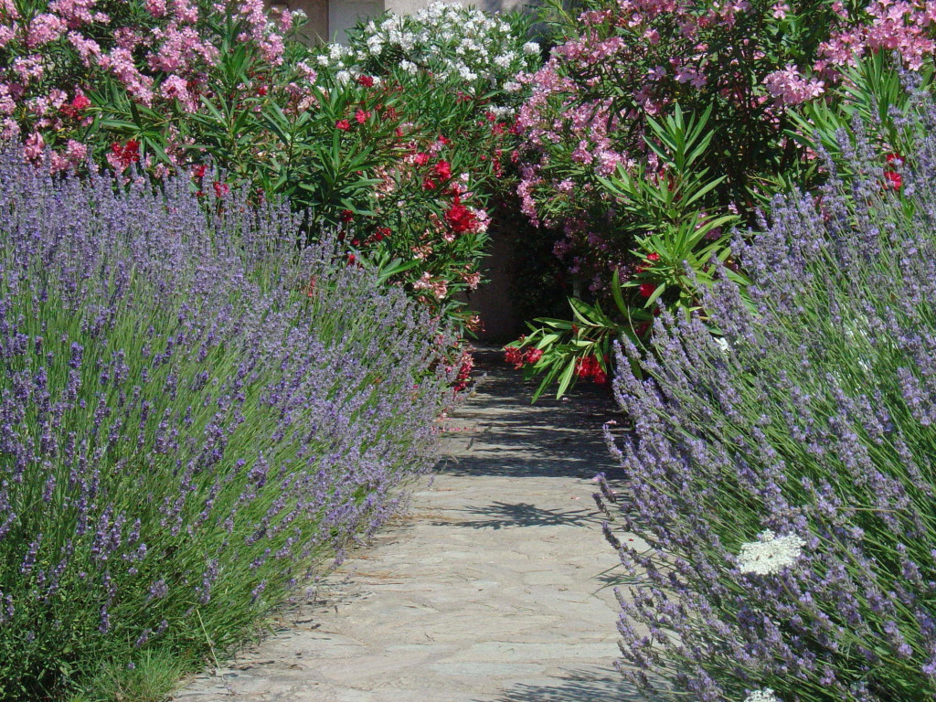 Fiori di Cala Rossa résidence hôtelière