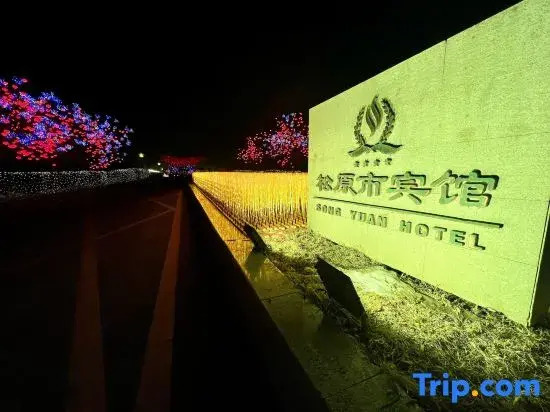 Songyuanshi Hotel