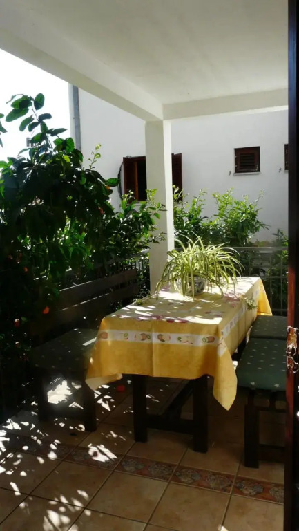 Guest house Živković