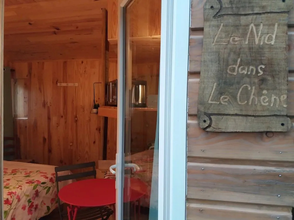 Cabane Dans Les Arbres - Le Nid Dans Le Chêne