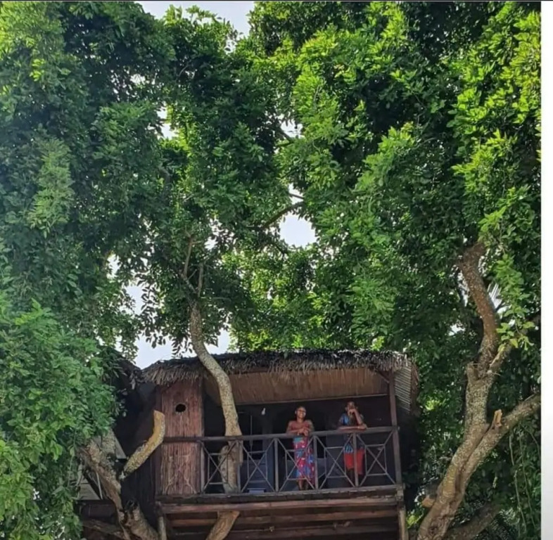 Hotel ECOLODGE LE RAVORAHA