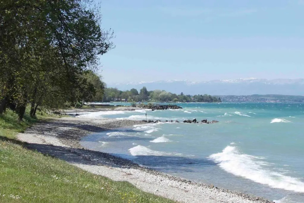 T2 « lémanesque » aux nuances du lac avec jardin