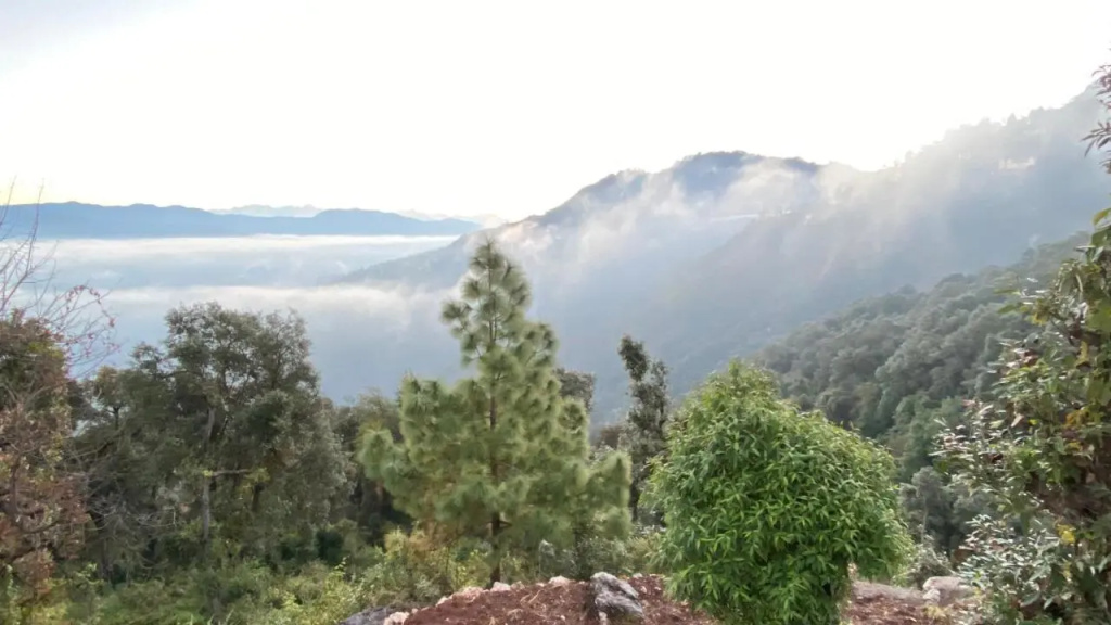 Ananta Prana