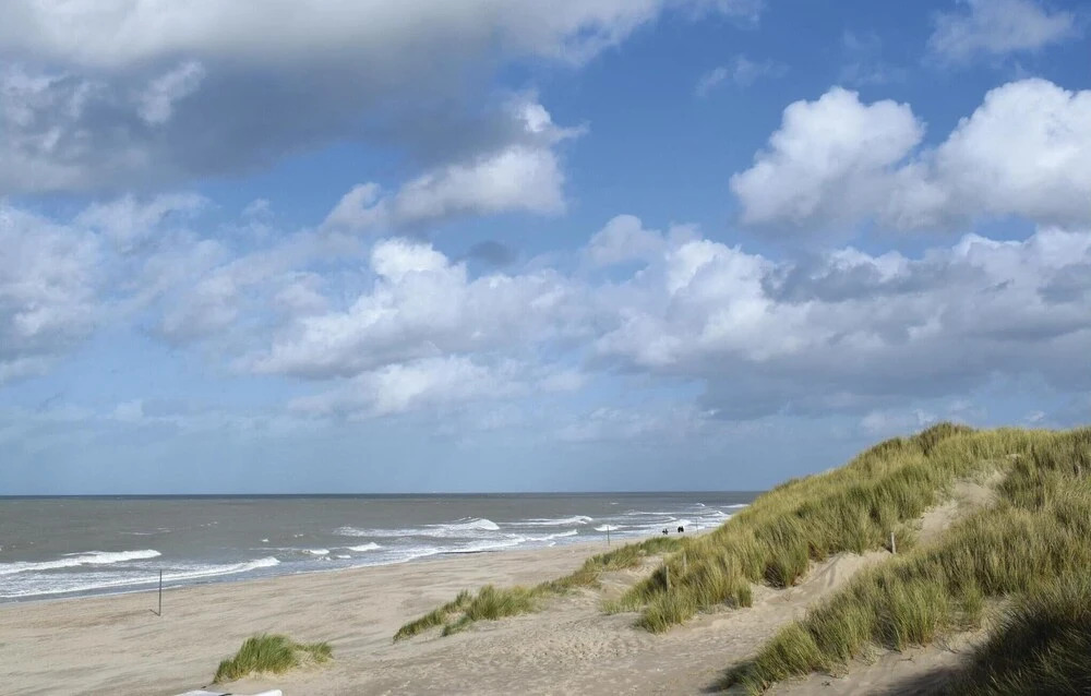 Vwa De Panne
