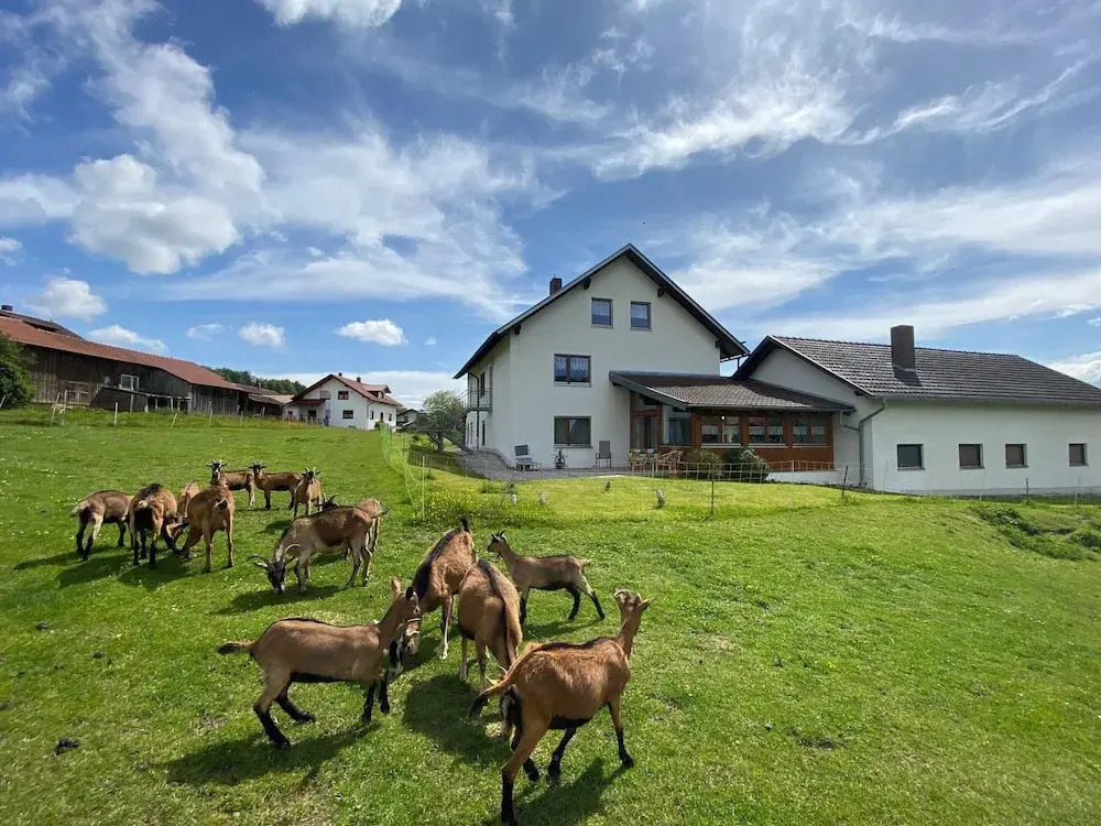 Apartment in Bavaria Near Forest