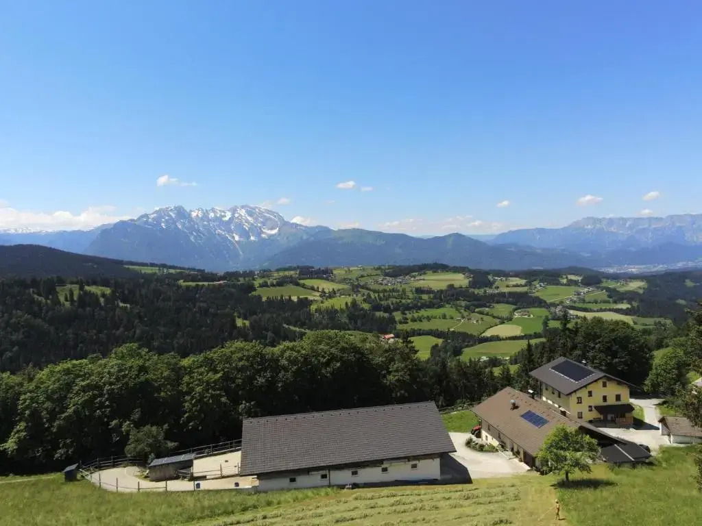 Ferienwohnungen Hornmansreithof