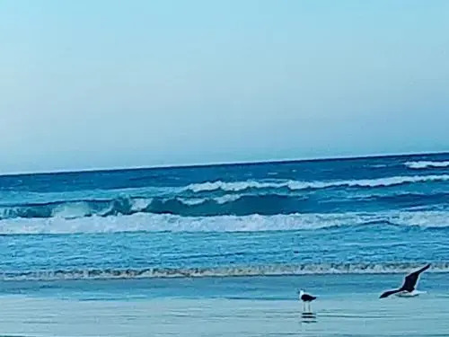 Suites PRISCO BEACH
