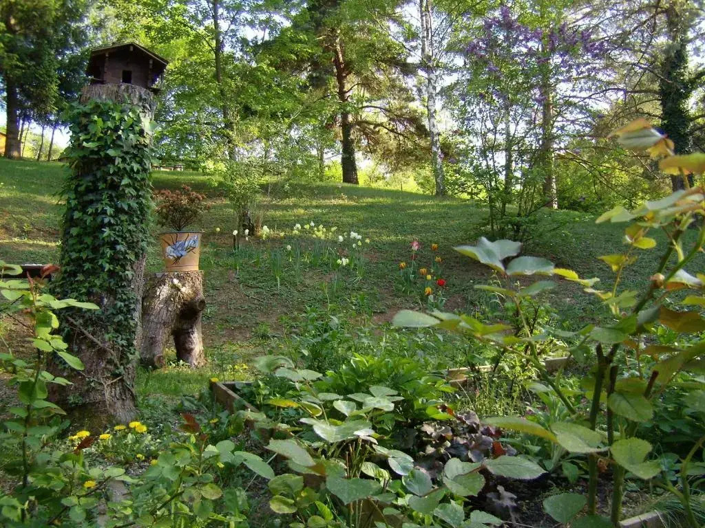 Studios Les Iris