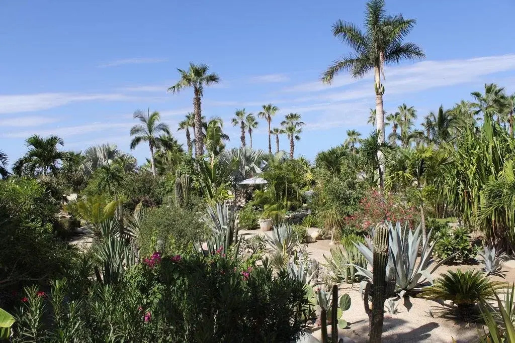 La Poza Boutique Hotel & Spa - Adults Only