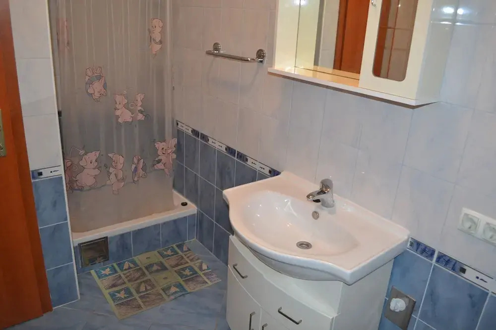 Apartments Davor