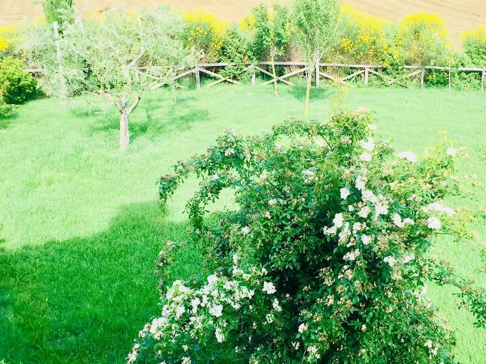 Fontegirasole - a Fontanaro Property