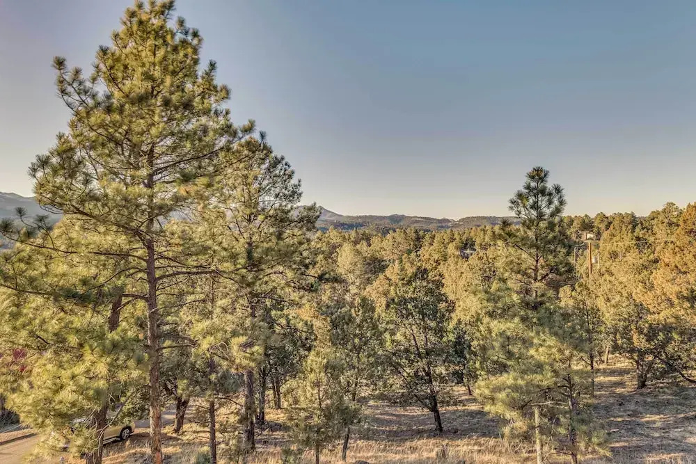 Wildlife Watching & Mtn Views: Luxe Ruidoso Escape