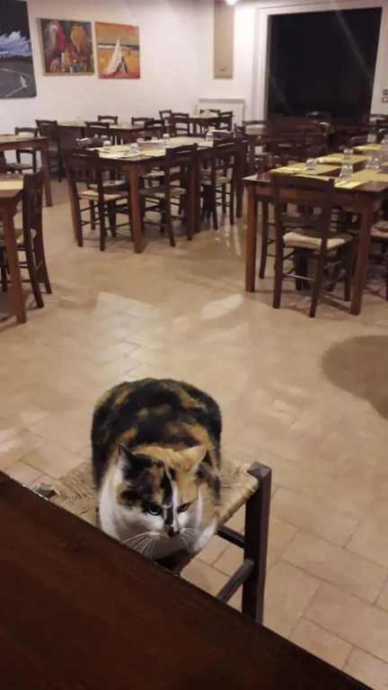 Agriturismo La Vita è Bella