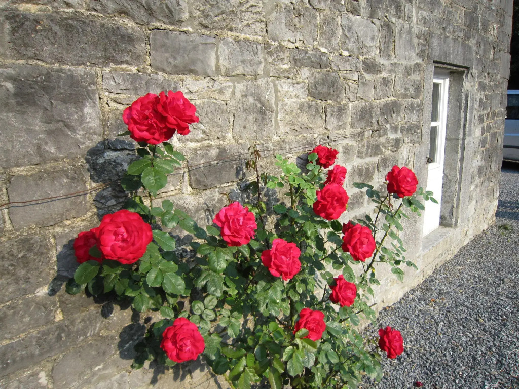 Cosy Cottage in Barvaux-Condroz with Garden