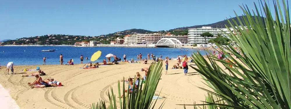 Studio cabine ensoleillé en plein centre ville dans résidence avec piscine