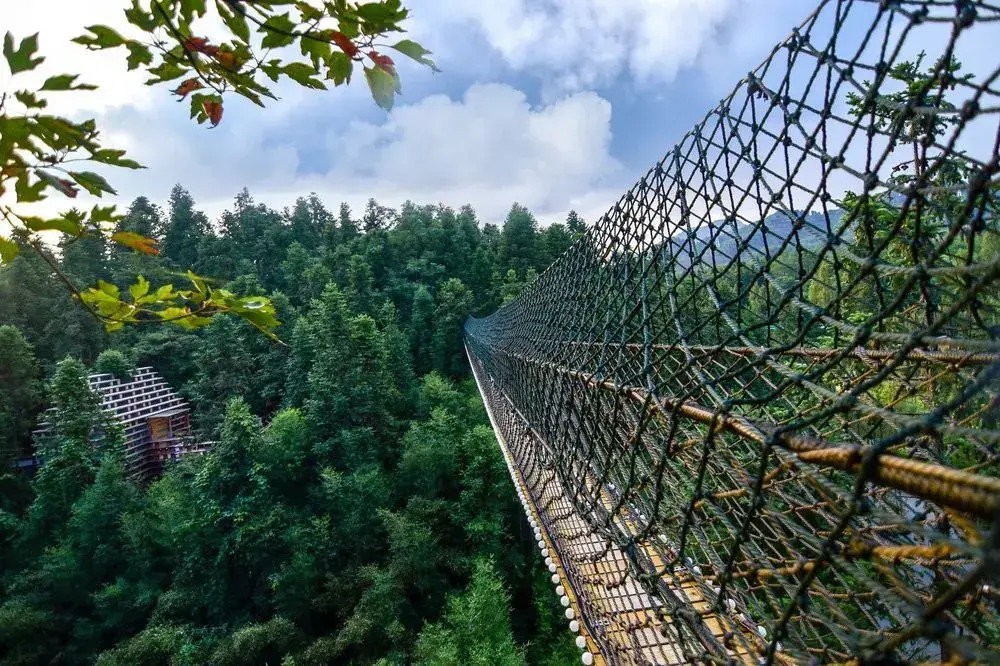 ZYJ Treehouse Land Huangshan Qiyun