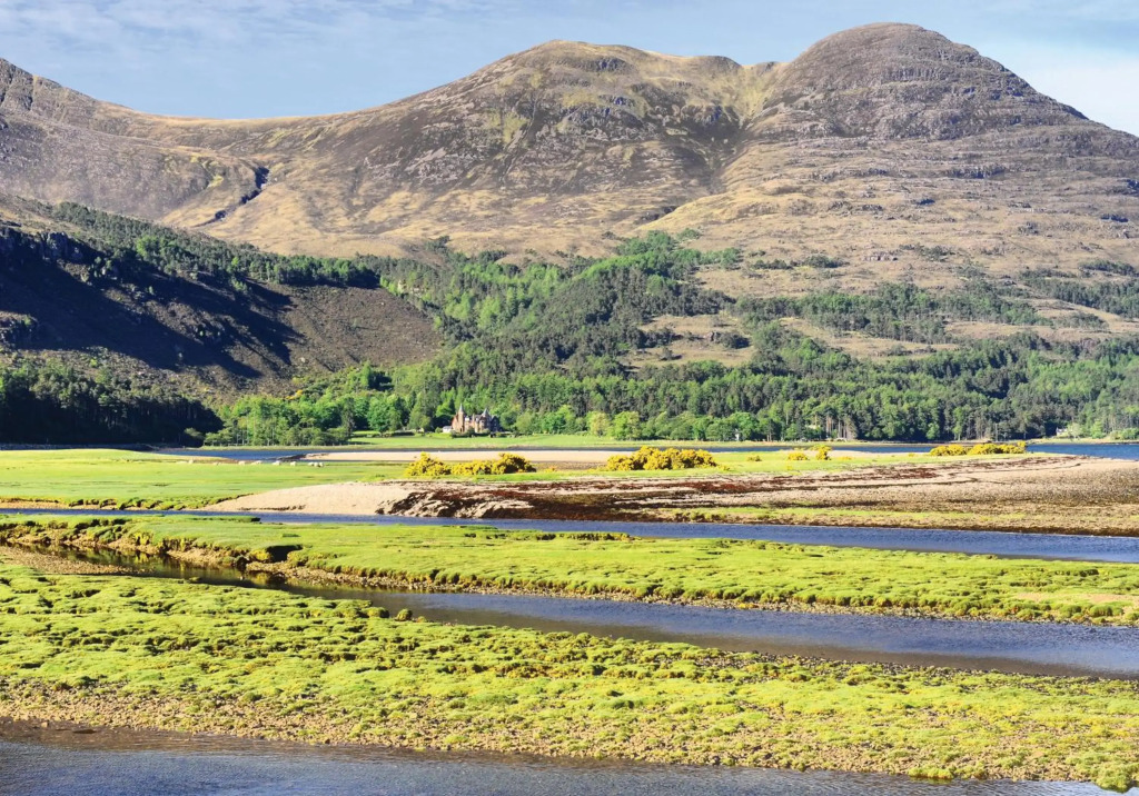The Torridon