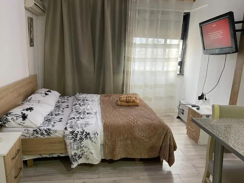 Downtown Modern Studio Apartment