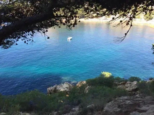 ocagna