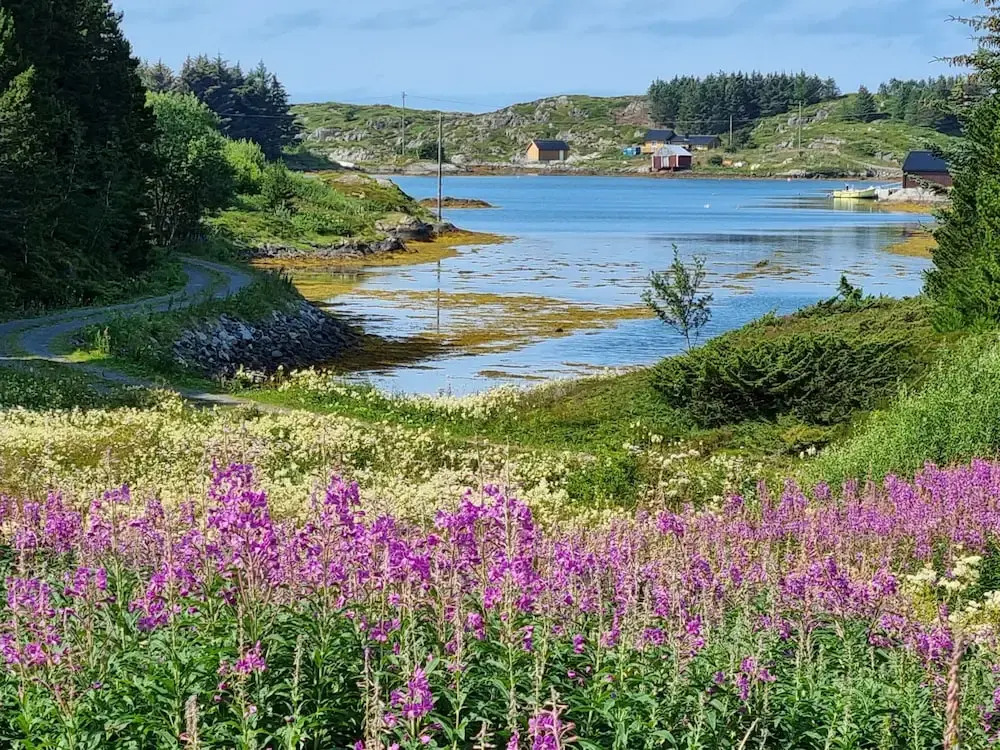 Vollvaagen Apartments Smøla, boat included