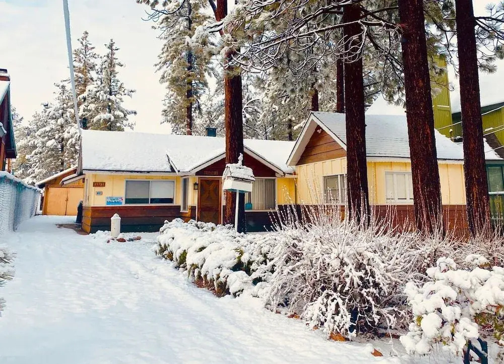 The Petite Cabin