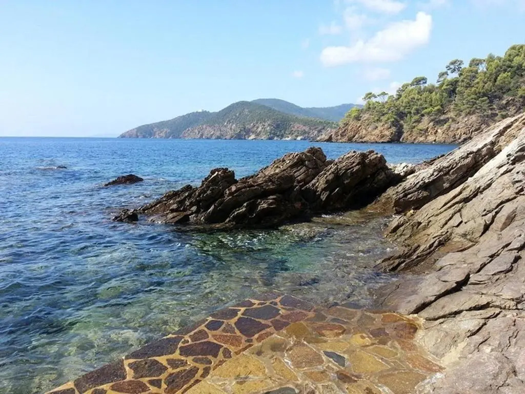 Appartement Cavalaire-sur-Mer, 3 pièces, 5 personnes - FR-1-100-147