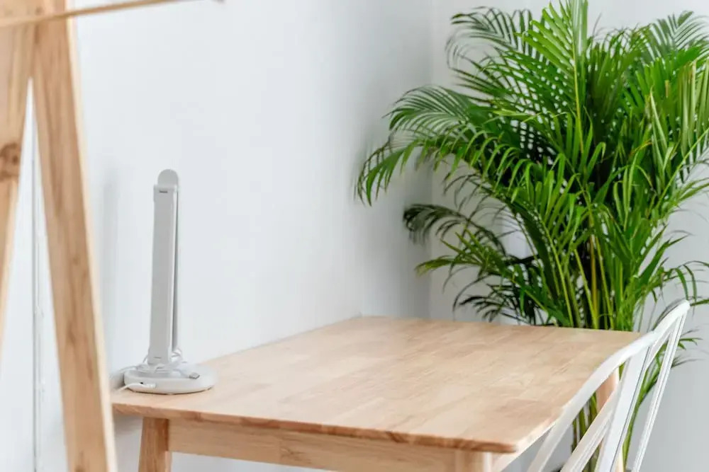 Socialer Coliving & Coworking Space