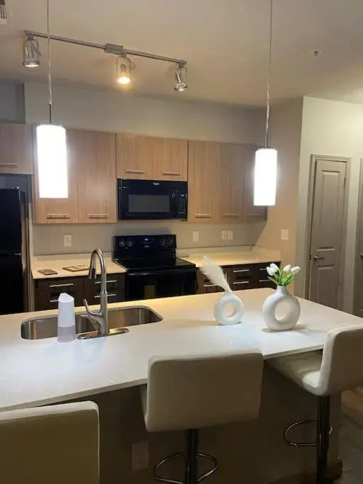 Downtown Luxury Apartment
