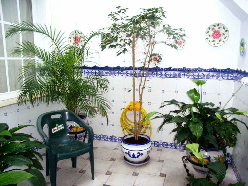 Hostal Dianes