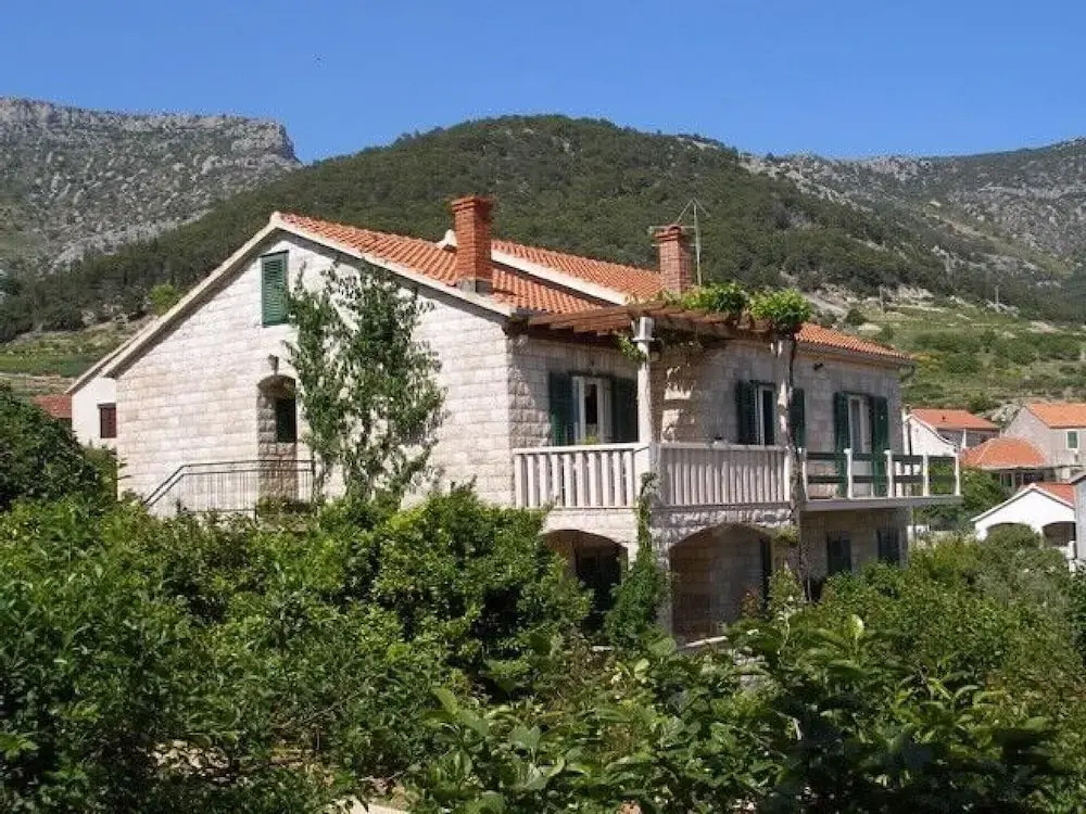Apartments Damir