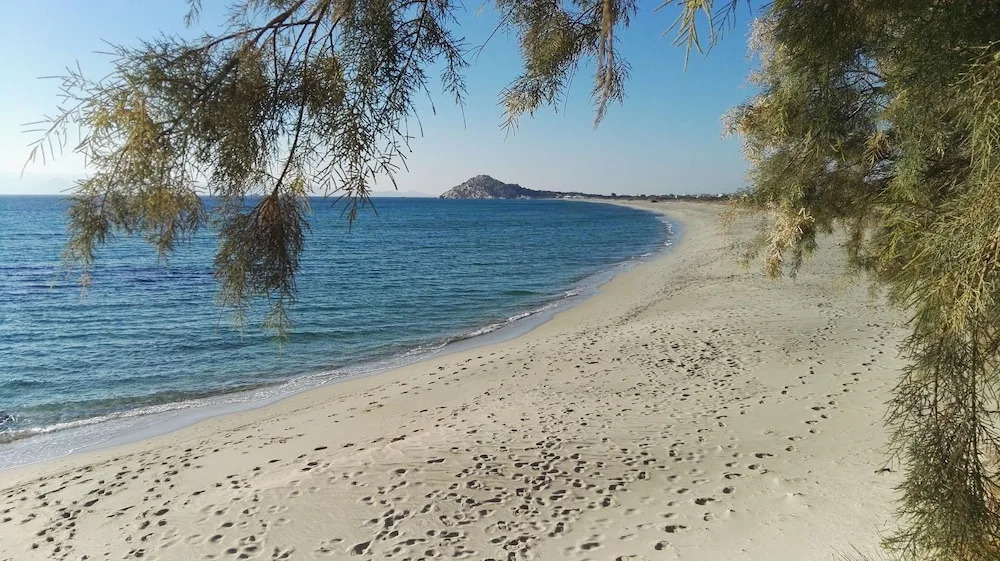 Naxos is the Way