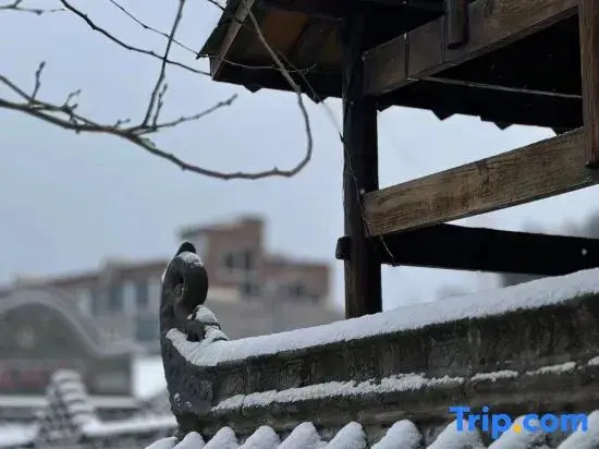 Qiyu Homestay
