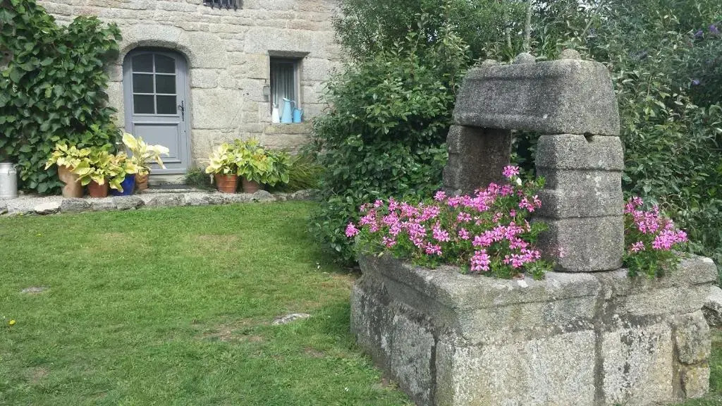 Les Papillons