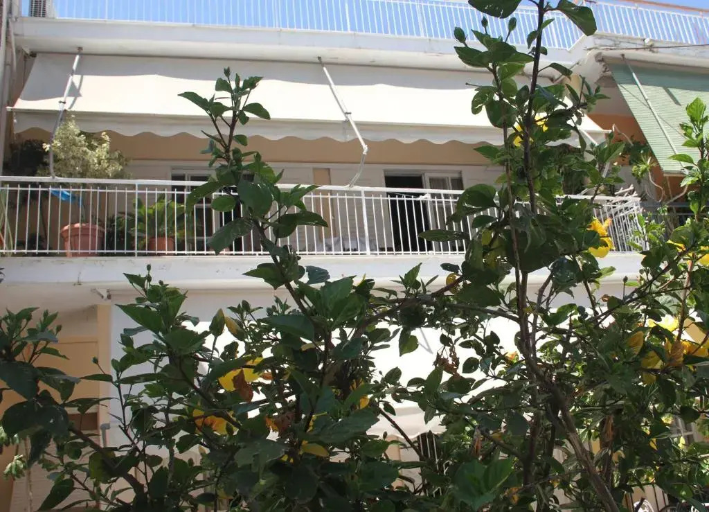 Family house