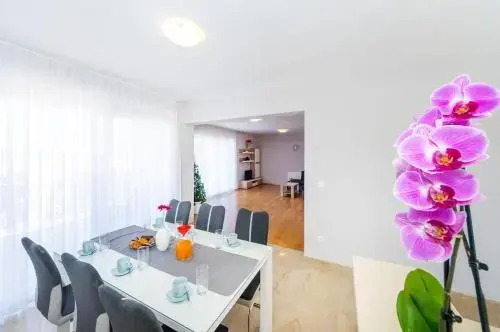 Apartments J.B Exclusive