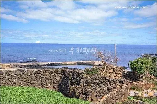 Jejucloudy Field House Pension